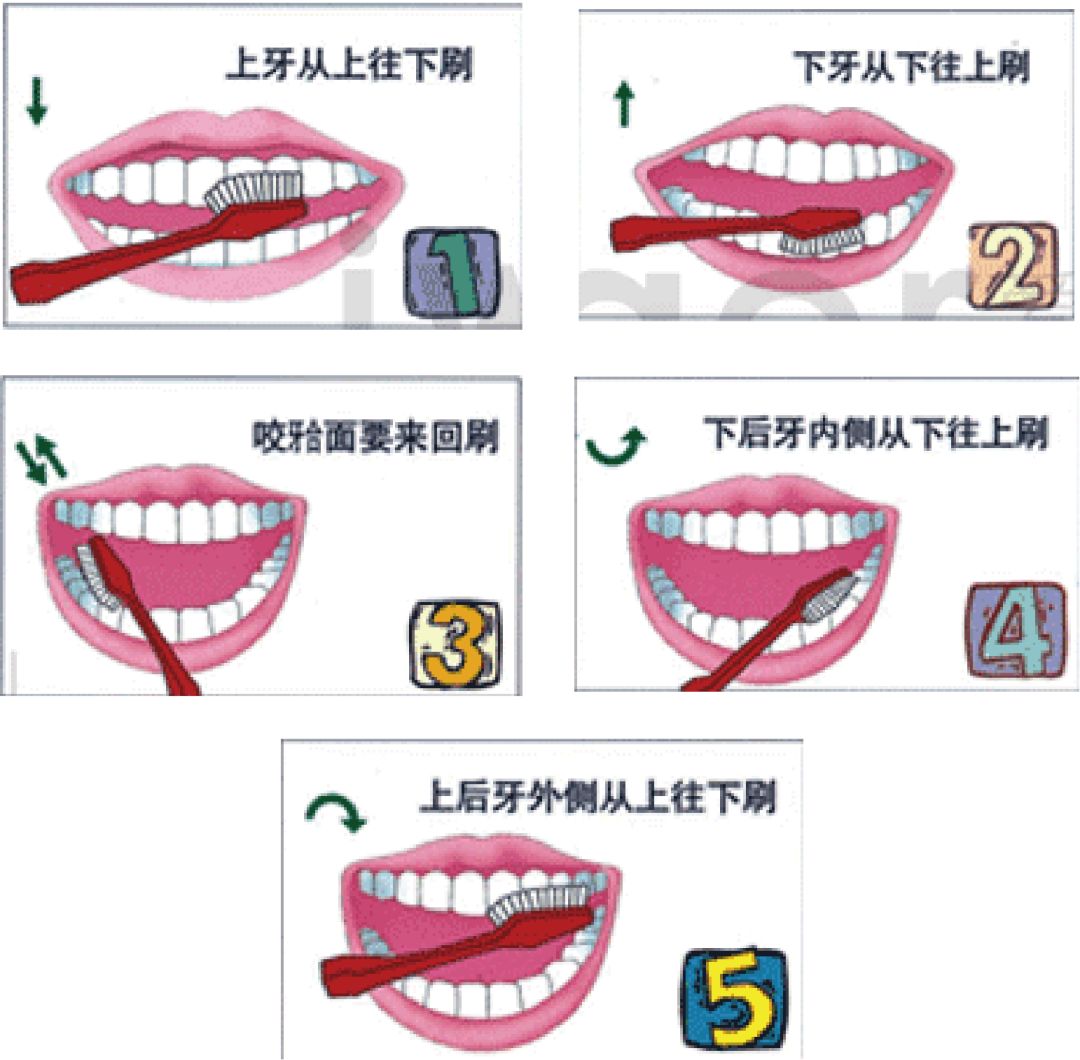 关爱口腔预防龋齿,爱牙科普小实验