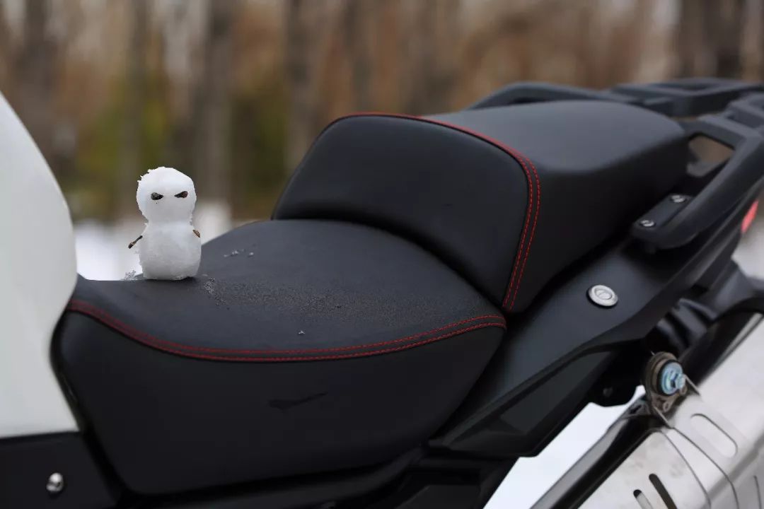 无极650gs拉力车,呆子隆鑫无极650拉力评测