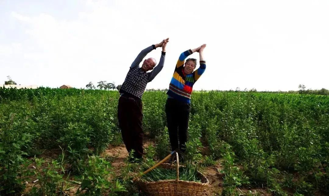 边种地边劈叉，土味瑜伽到底有多骚？
