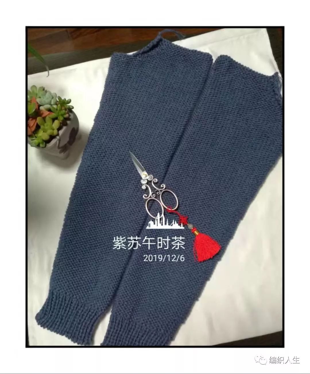 金枝玉叶刺绣开衫,棒针叶子花样v领开衫