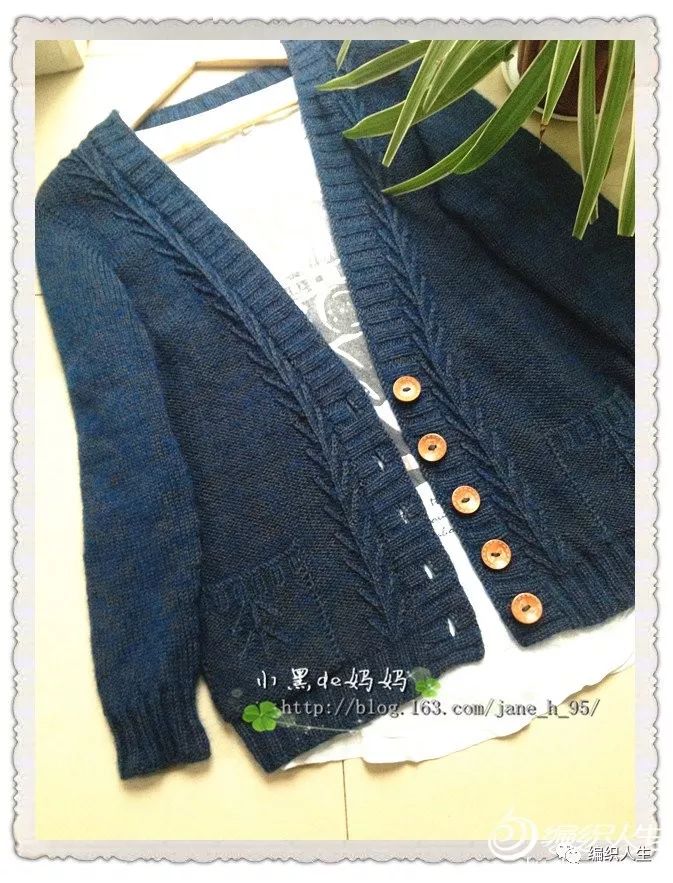 金枝玉叶刺绣开衫,棒针叶子花样v领开衫