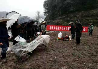 秀山手机报,秀山手机报今日新闻