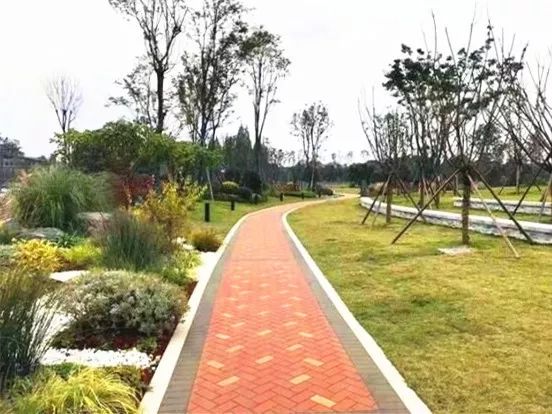 街道书记访谈,街道书记推介党建项目