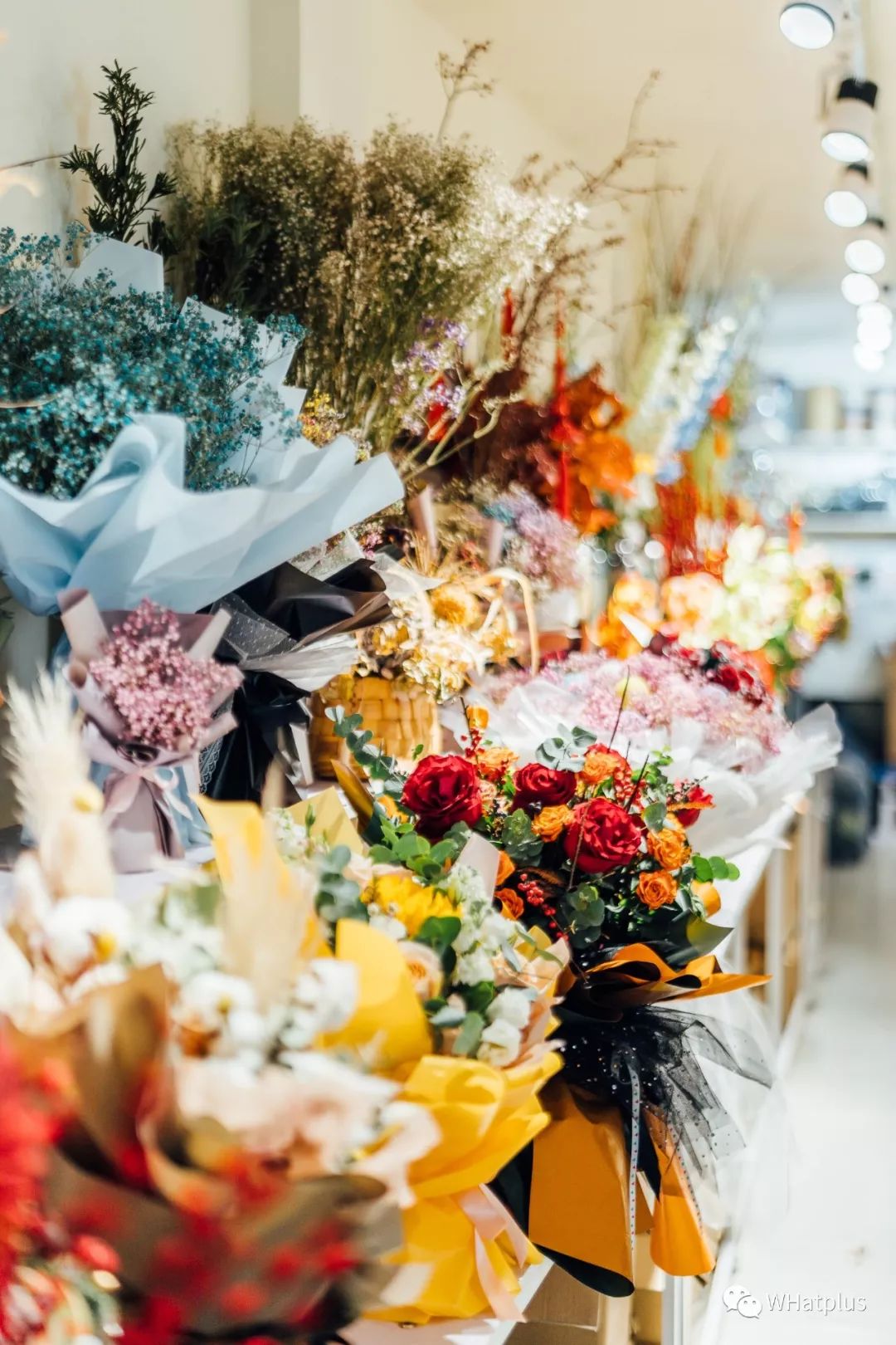 武汉最大鲜花批发市场,武汉哪个市场鲜花最便宜