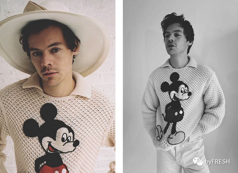 mouse和mickey什么意思,mickeymouse第四阶段