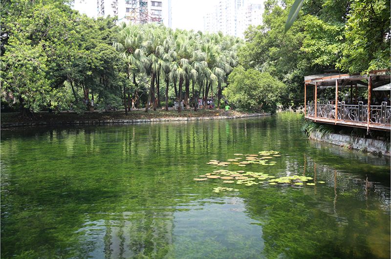 广州海珠区免费公园推荐,海珠区最近的公园