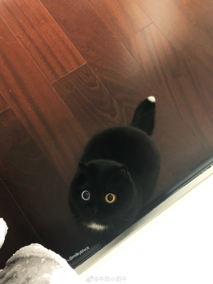 羽绒服里边的带子作用,彪马羽绒服带子干嘛用的