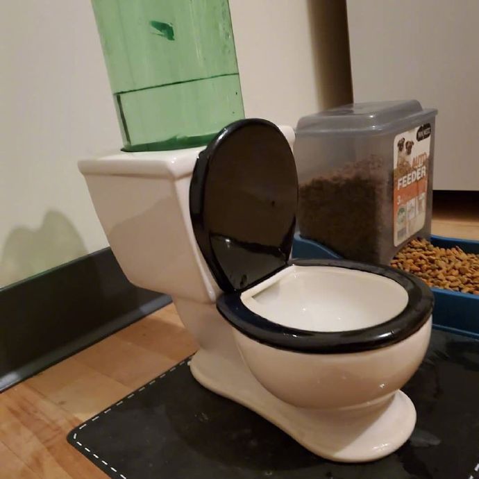 羽绒服背后带扣子,羽绒服背后的带子是挂衣服的吗