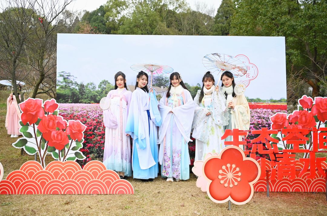 铜陵赏梅免费景点,赏梅去哪里旅游最好