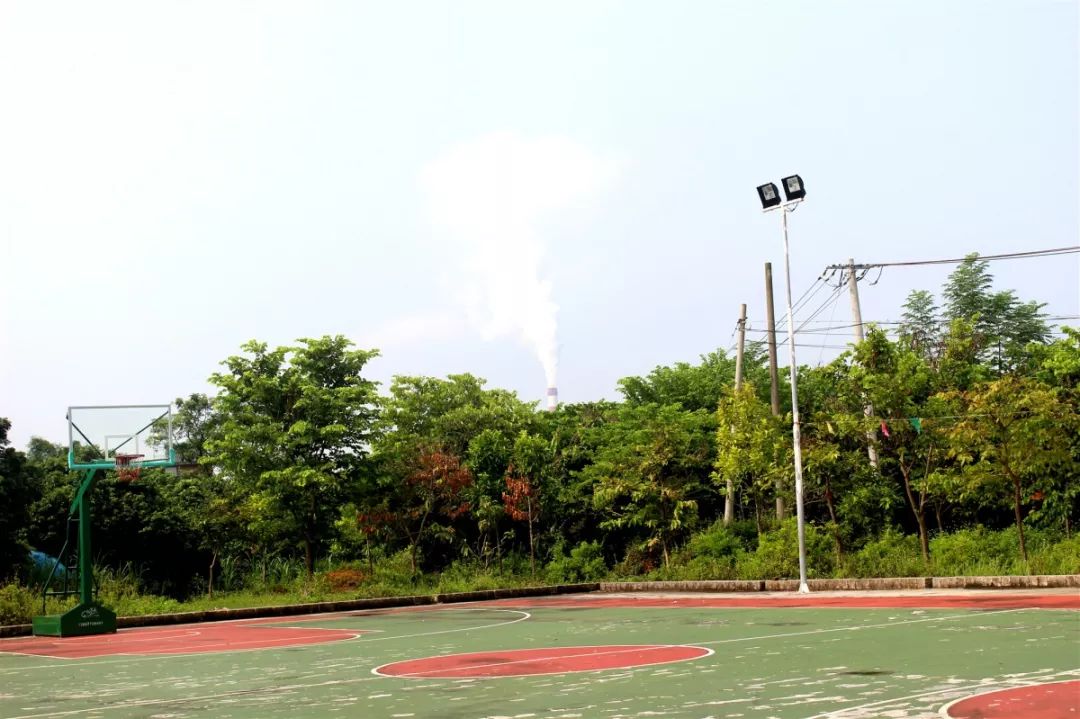 贵港市十大美丽乡村,广西贵港市美丽乡村排名