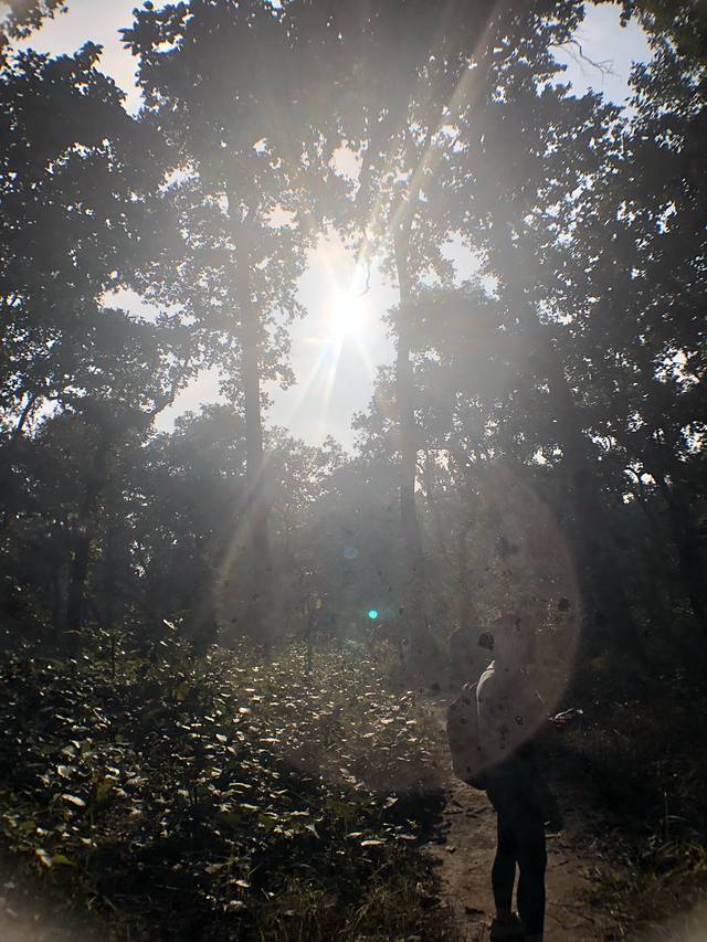 南亚国家旅行,南亚环球旅行