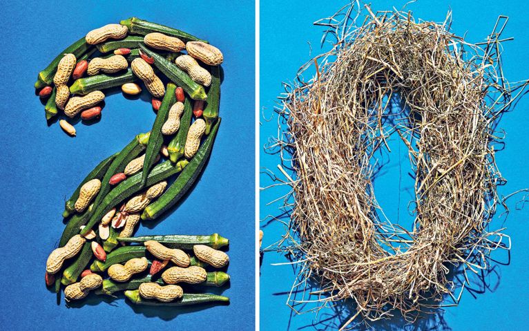 蚊子草怎么吃最好,蚊子草的食用方法