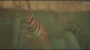 2021年好莱坞电影排行榜前十名,好莱坞2011电影排行榜