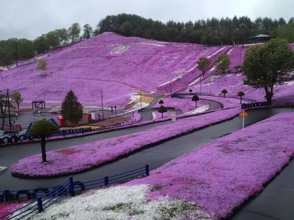 休闲农业和观光农业,休闲观光农业经验