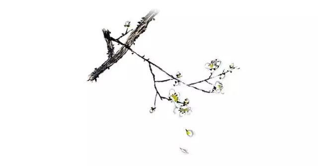 教科书式自我隔离,自我隔离要多少天