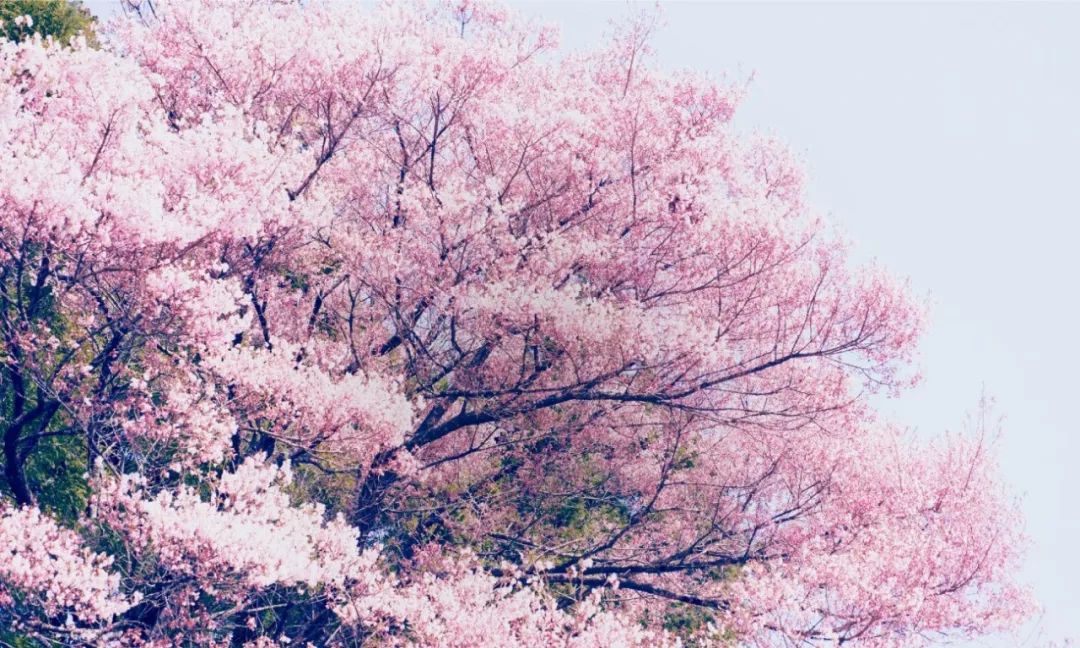 宅在家里挖掘我无限的潜能,适合宅在家看的电影风景片