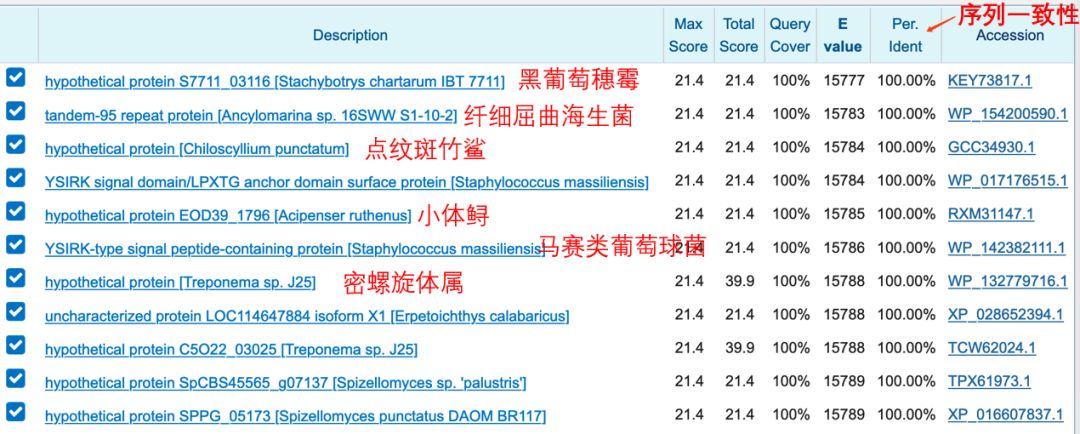 新型冠状病毒属于基因武器吗,新型冠状病毒变异毒株致命吗