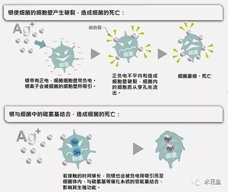水产养殖纳米银在什么时候才能用,纳米银在水产上作用