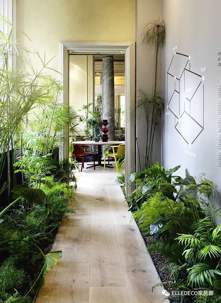 blackpink四小只各有各的风格,blackpink这次回归哪两位最亮眼