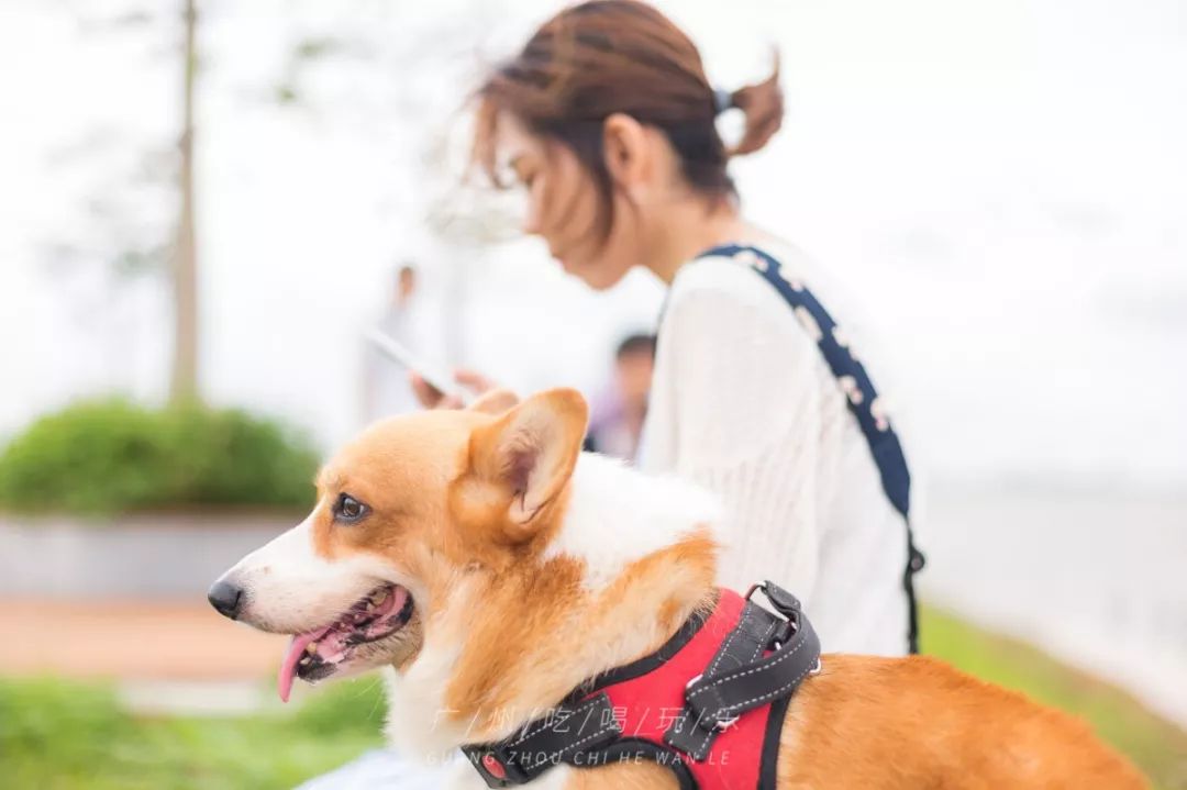 广州，说好了！等你痊愈后，这100件事我们一起完成