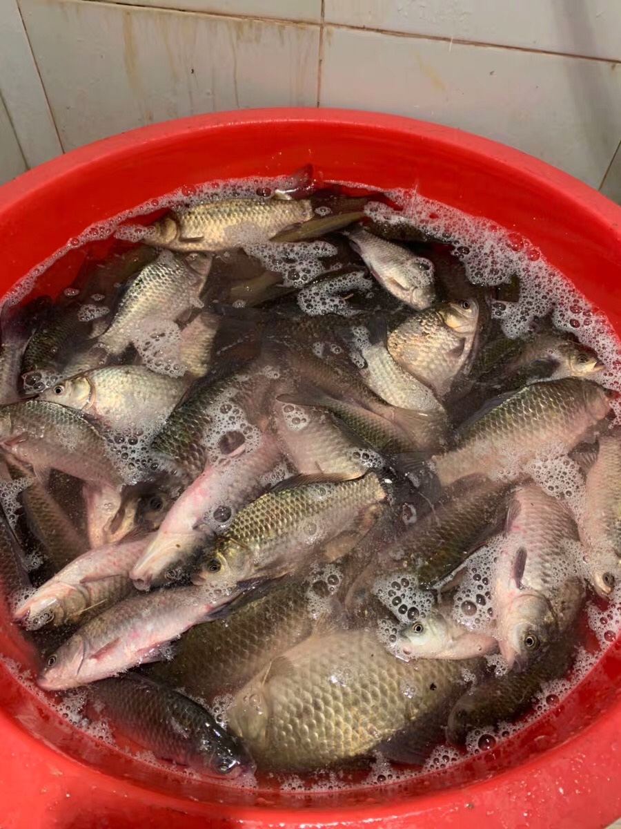 朝天钩选多大号合适,朝天钩最大能用几号钩