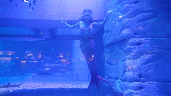 网红餐厅土味表演,网红餐厅的土味表演