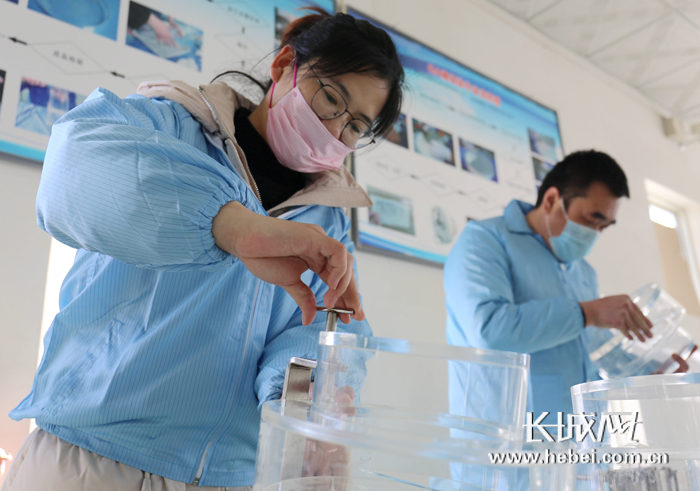 廊坊复工复产实际情况,廊坊安次区复工复产通知