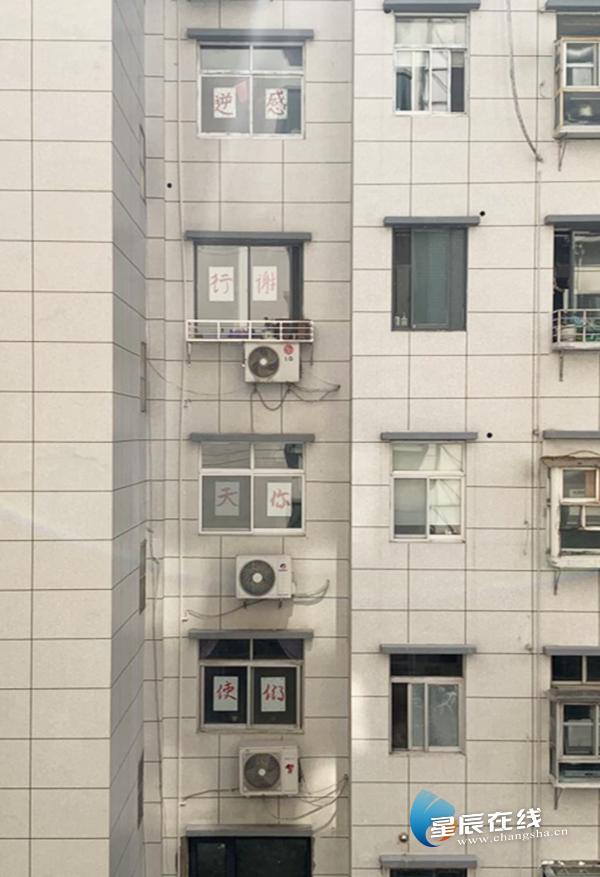 心理医生赴鄂抗疫,心理治疗师抗击疫情