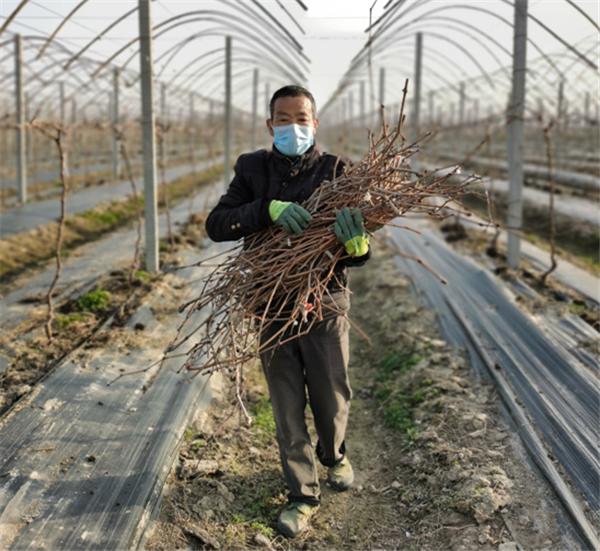 春回大地农村春耕热火朝天,春回大地忙耕种喜迎金秋粮归仓