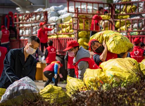 洛龙镇切实筑牢疫情防控屏障,抓实疫情防控筑牢安全防线