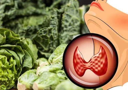 甲状腺功能亢进症如何保养,甲状腺功能减退如何控制情绪