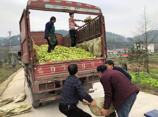 帮助农民卖了30万斤红枣,助农民销万斤蔬菜