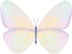 卫星图上的九寨沟,九寨沟全景解说