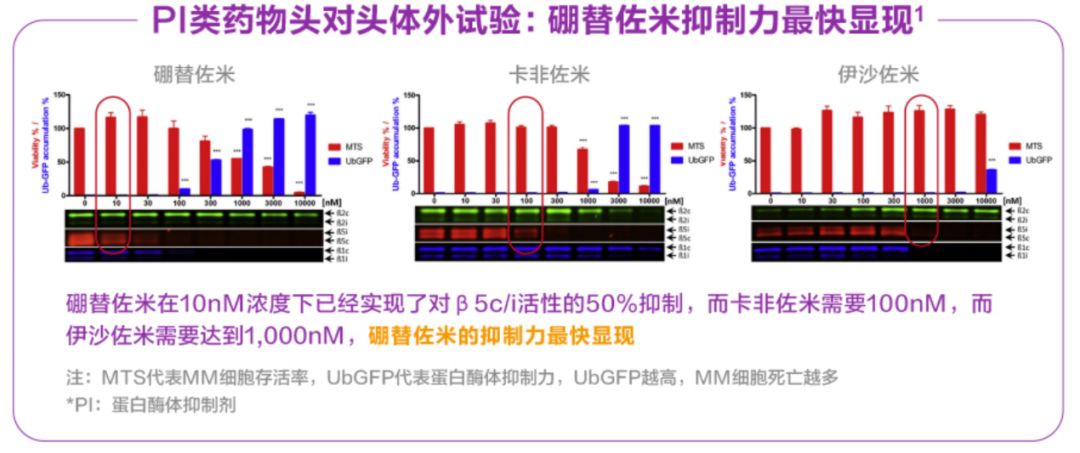 洞察目标|MM患者达到“深缓解、长生存”已不再魔幻