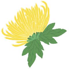 定远九九重阳敬老爱老晚会,九九重阳个人爱老敬老演讲稿