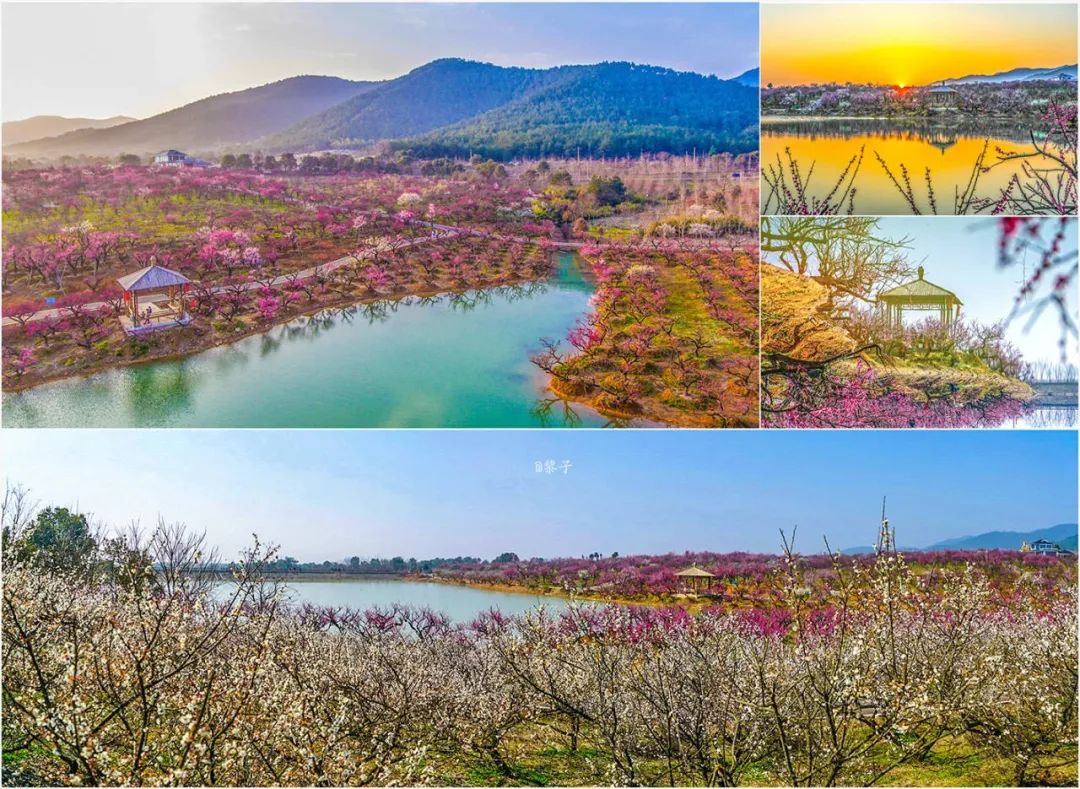 直播即将开始一起见证精彩时刻,直播预告一起向未来