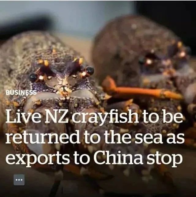 如果没有中国游客,世界该有多无聊