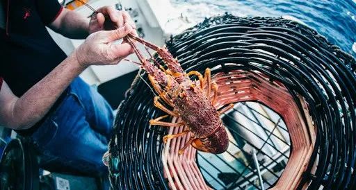 如果没有中国游客,世界该有多无聊