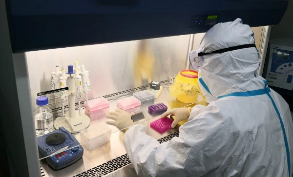 疫情期间海关清关一般要多久,疫情期间进口海关放行几天