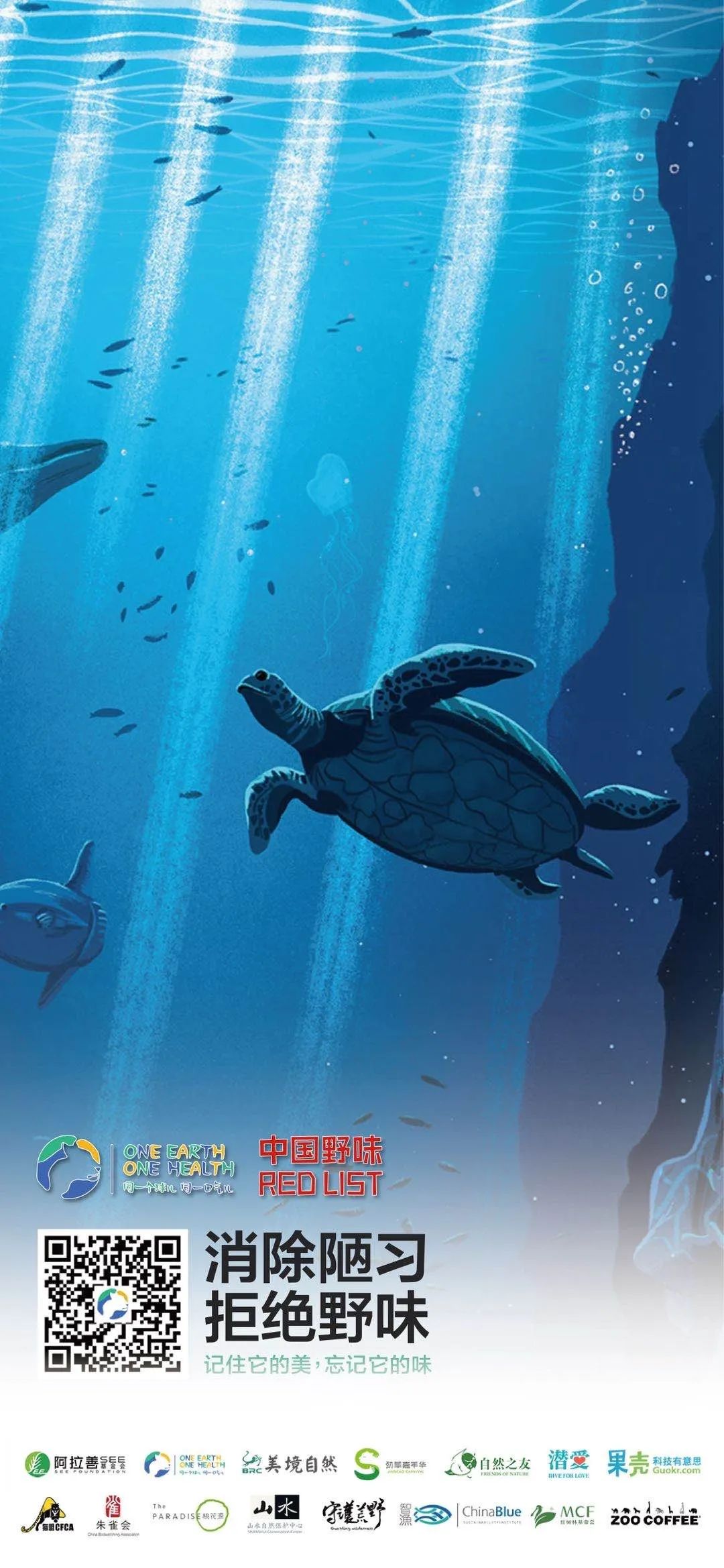 记住它们现在的模样,记住这些永不过期的食品