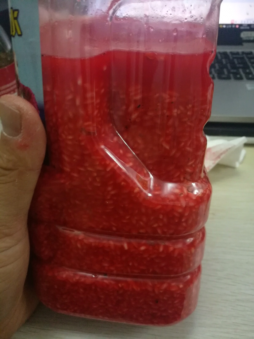 自制酒米用大米好还是小米好,用大米怎么自制酒米