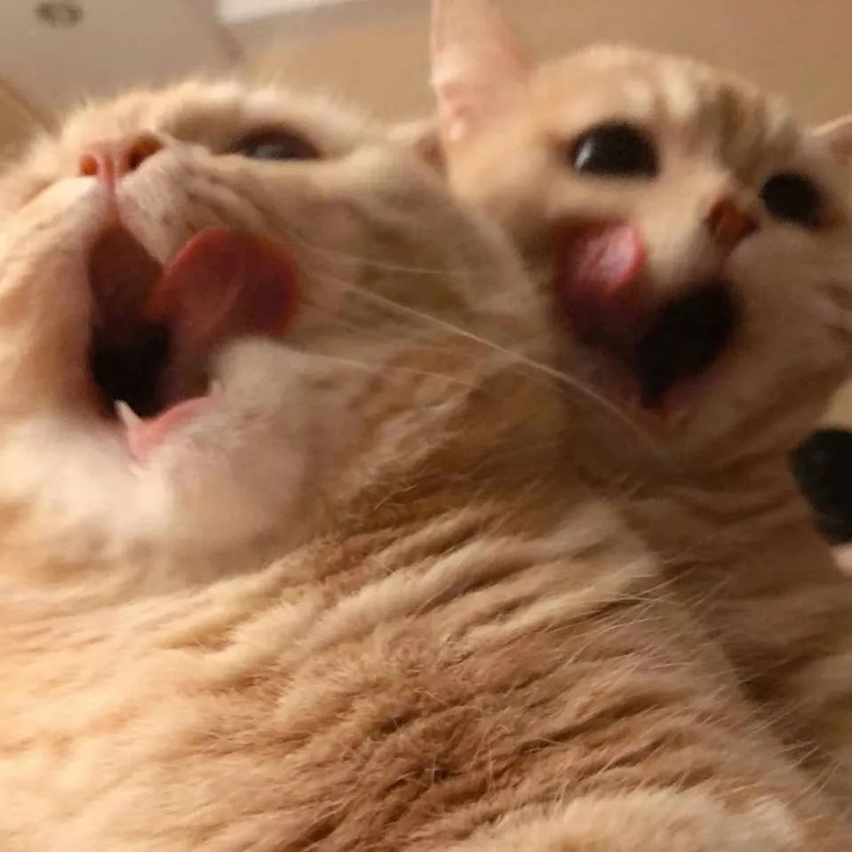 疫情下的38度朋友圈,微信朋友圈38条