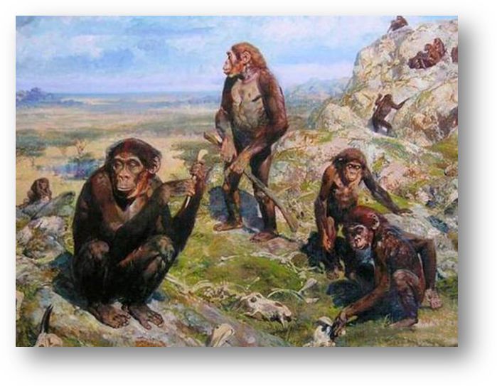 花岗岩新冠肺炎,关于新冠肺炎对人类的灾害