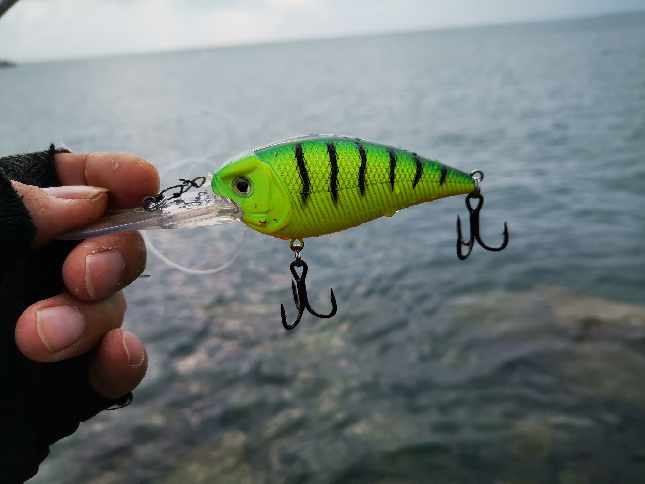 路亚一步到位还是循序渐进好,摸索反思