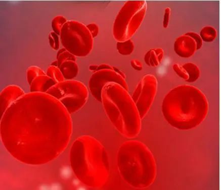 国际肾脏病日|来自协和肾内科的护“肾”锦囊