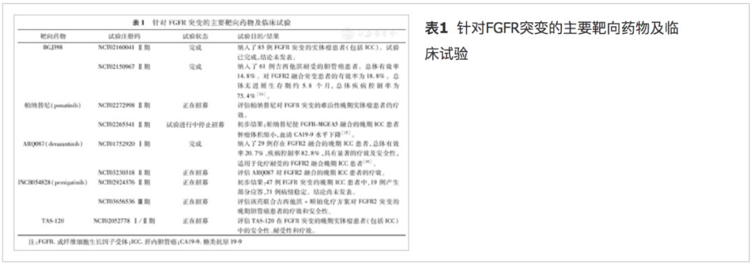 肝内胆管癌的靶向治疗,胆管癌转移肝靶向治疗有意义吗