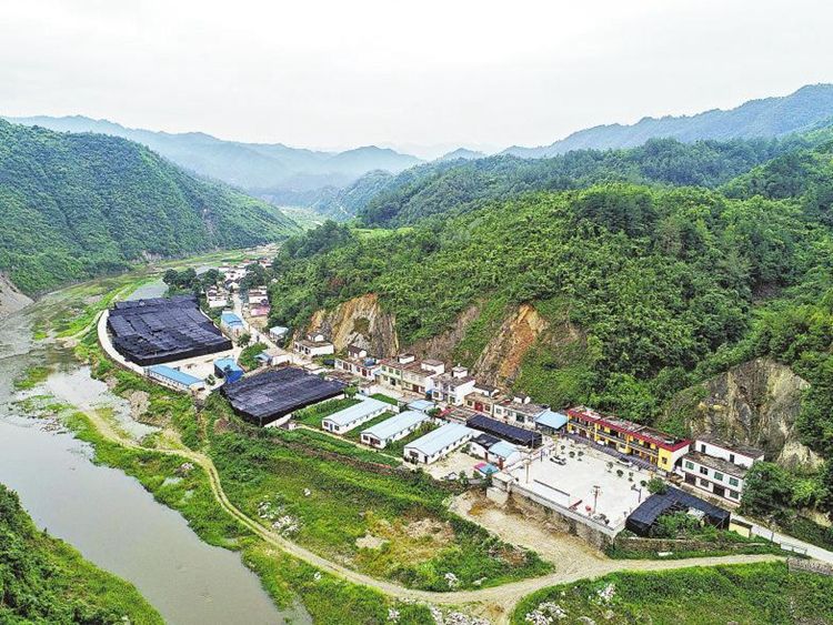 秦奋有新貌丨产业发展挺起脱贫“铁脊梁”丹凤县找到致富好路子