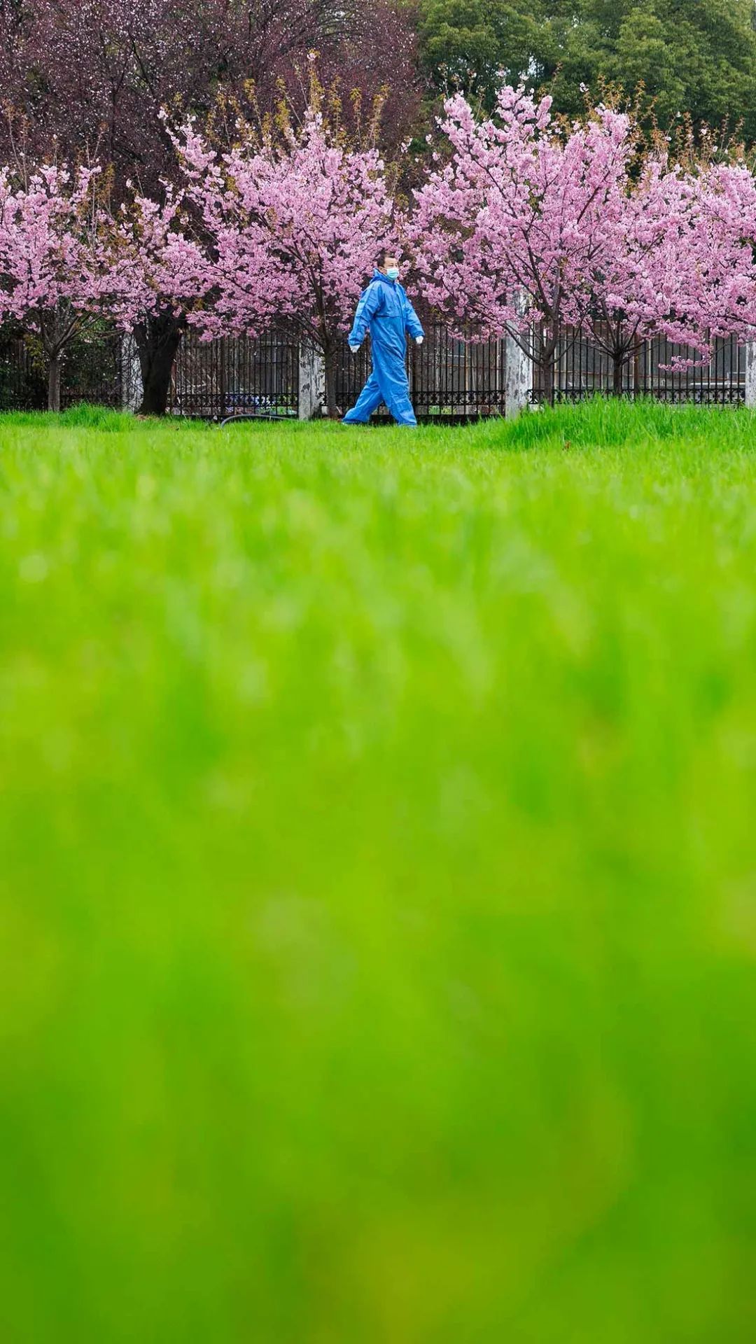 听春之声,听春之声圆舞曲感悟
