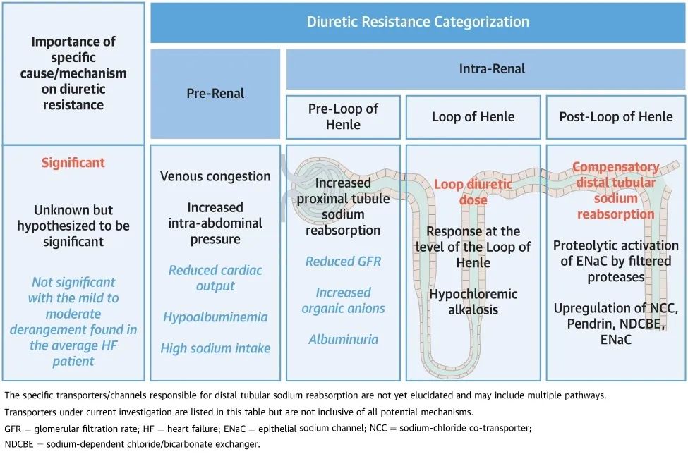 心力衰竭利尿剂的治疗,jacc谈心衰