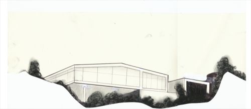 一起来植树的视频,今天适合植树吗